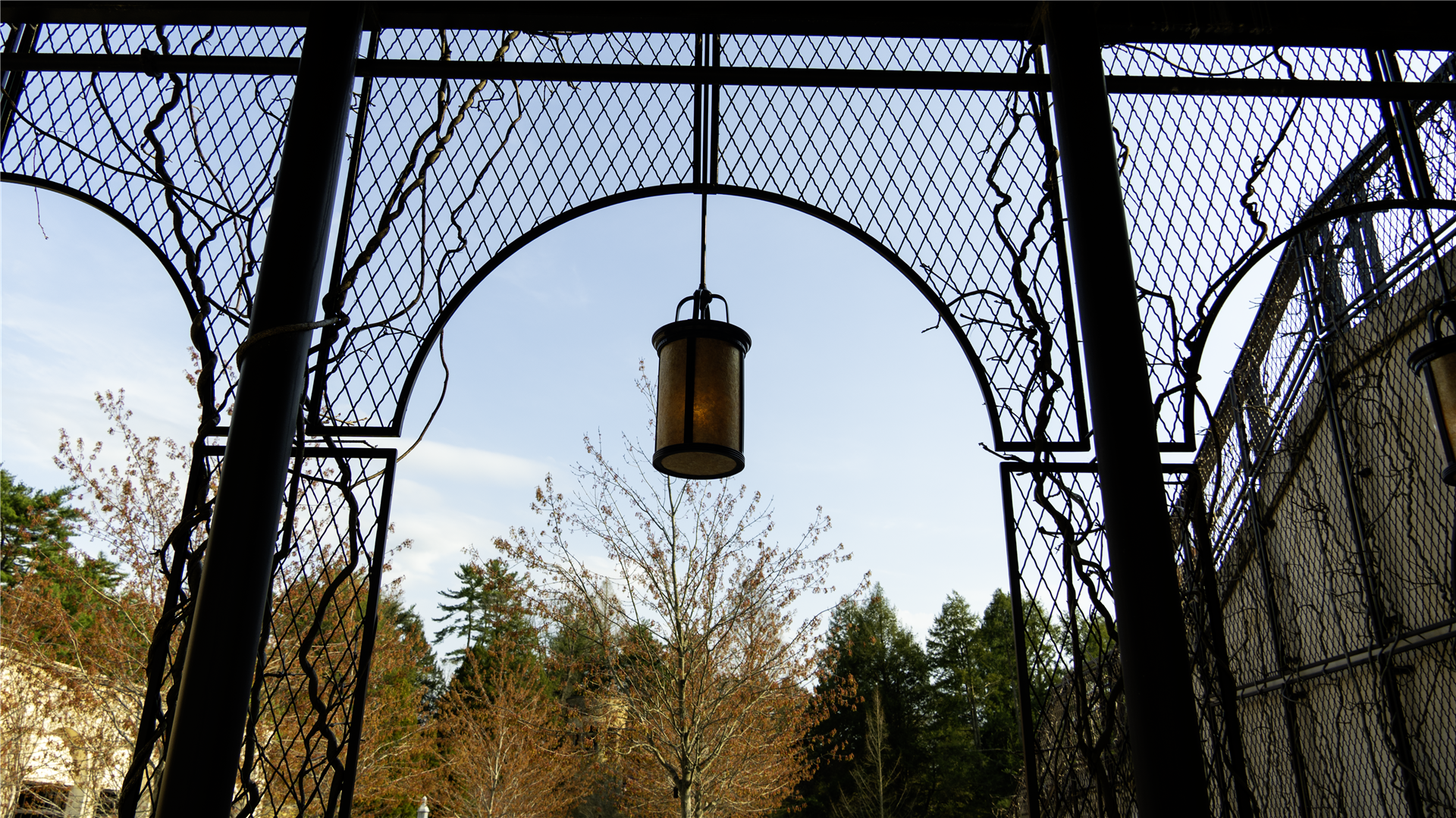 Longwood Gardens 11