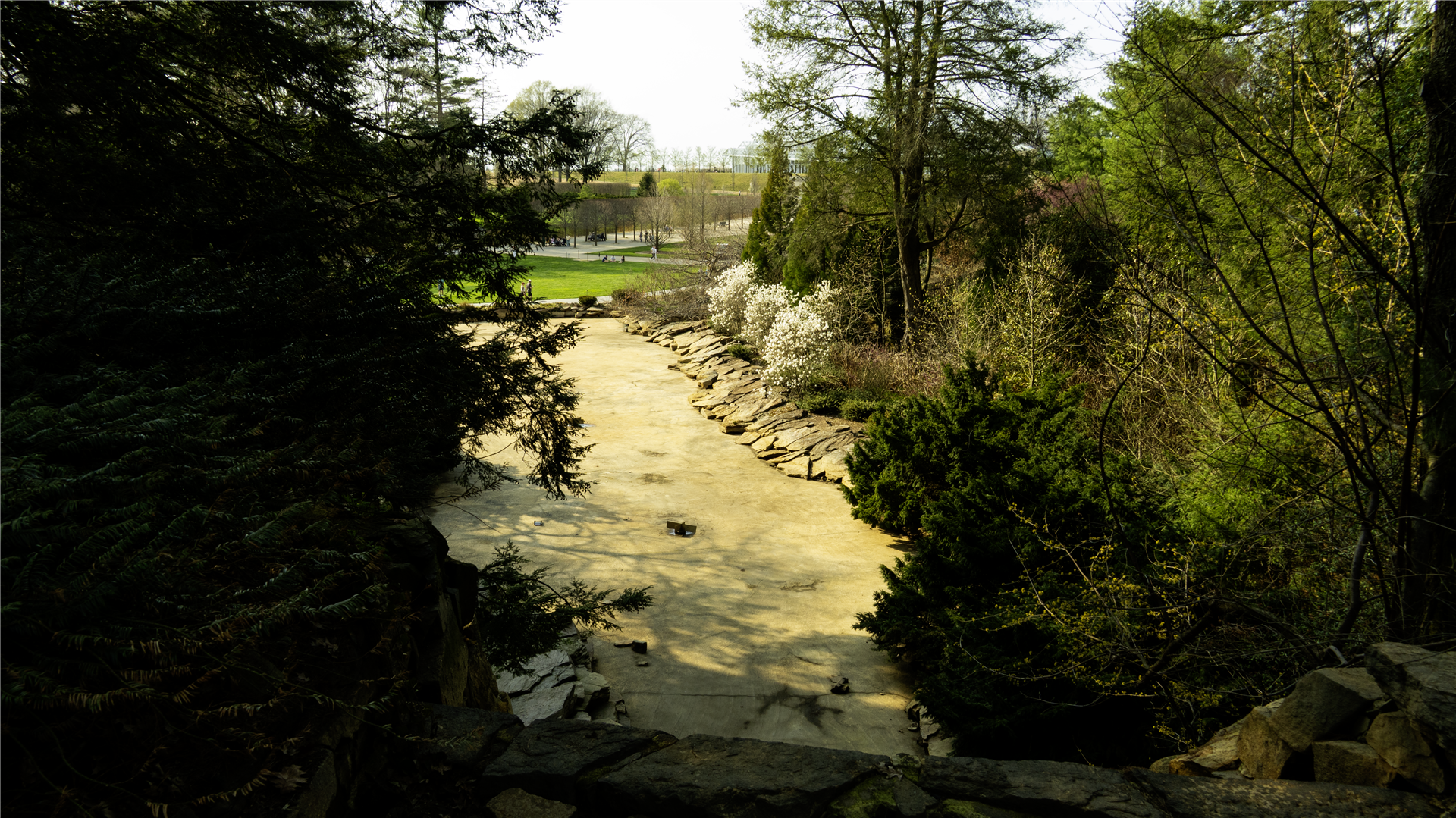 Longwood Gardens botanical series — image III
