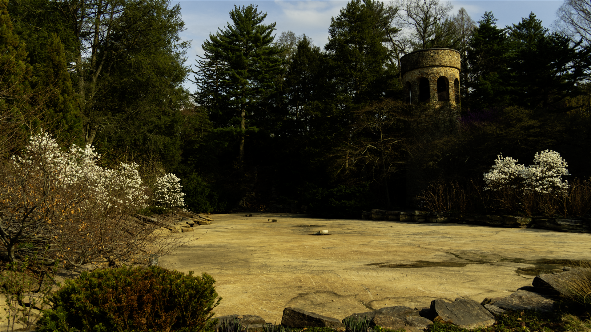 Longwood Gardens botanical series — image VII