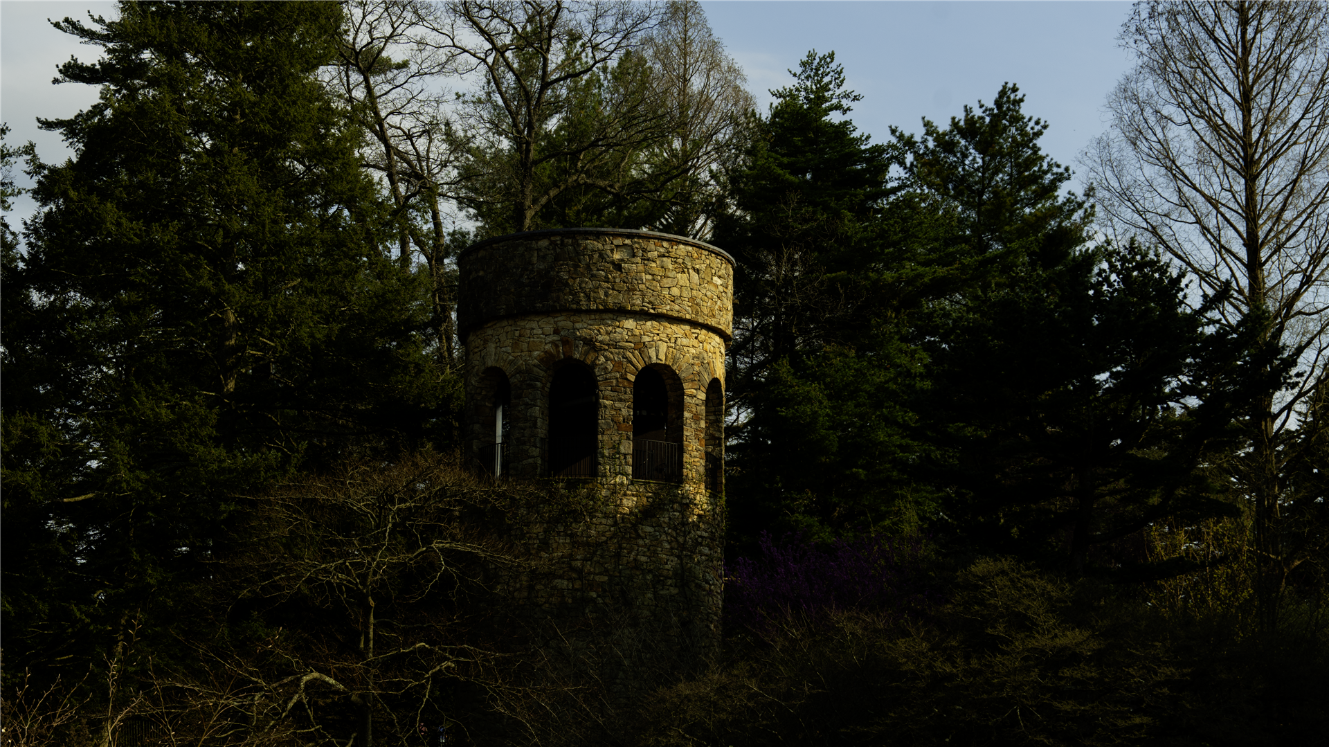 Longwood Gardens 08